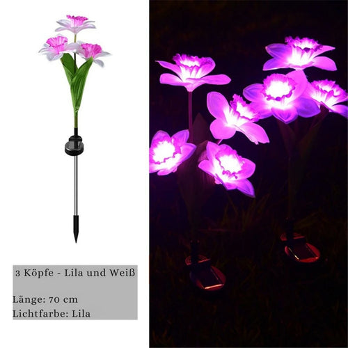 LichtBlume - Elegante Solarleuchten für Garten & Balkon, LED Narzissenlichter