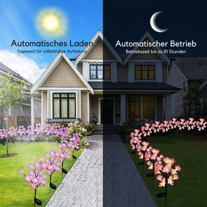LeuchtGarten  - Wasserdichte Camellia Solarleuchten für den Garten mit 15 LED-Lichtern