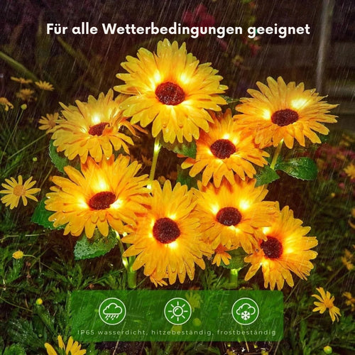 LichtBlüte - Dekorative Solarleuchten für Garten und Terrasse