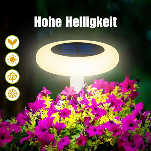GlowLuxe - Hochwertige Solar Gartenleuchten mit Erdspieß im 6er Set für stilvolle Außenbereiche