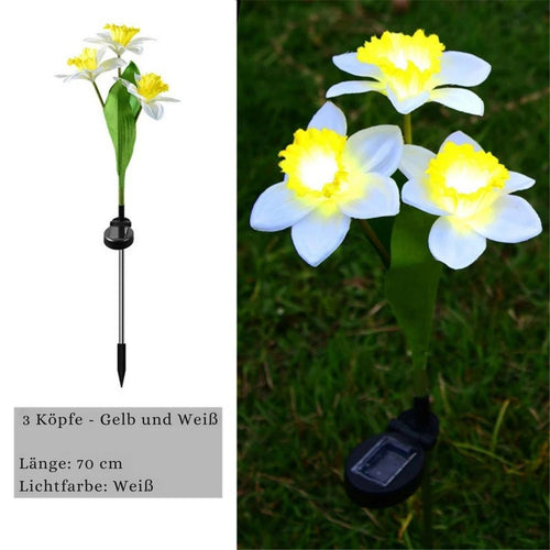 LichtBlume - Elegante Solarleuchten für Garten & Balkon, LED Narzissenlichter