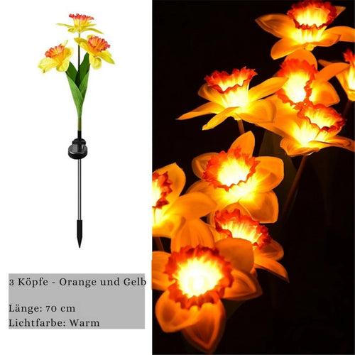 LichtBlume - Elegante Solarleuchten für Garten & Balkon, LED Narzissenlichter