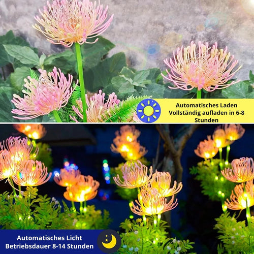 SolarPetal - Solarbetriebene LED Gartenblumenlichter, perfekt für Wege, Garten und Terrasse