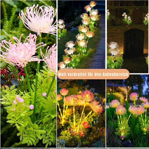 SolarPetal - Solarbetriebene LED Gartenblumenlichter, perfekt für Wege, Garten und Terrasse