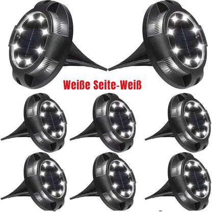 GlareLux - 12LED Solarleuchten für den Garten, Umweltfreundliche Gartenbeleuchtung mit Dämmerungssensor
