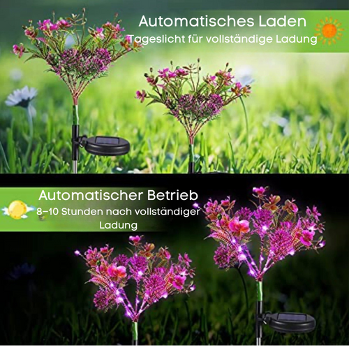 BlütenLuxe – Elegante Solar-Blumenlichter im Orchideen-Design (2x)
