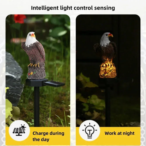 LumenEagle - Solarbetriebene LED Gartenbeleuchtung für Außen, dekorativ und langlebig
