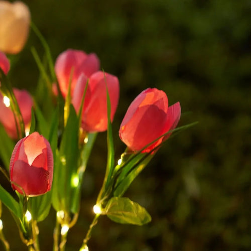 LumaTulip - Solarbetriebene LED Tulpenblumen Gartenleuchte für Außenbereich, wasserdicht