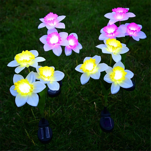 LichtBlume - Elegante Solarleuchten für Garten & Balkon, LED Narzissenlichter