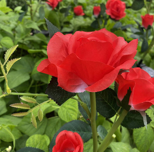 LumiRose – Elegante Solar LED Gartenbeleuchtung im Rosen-Design (2er Set)